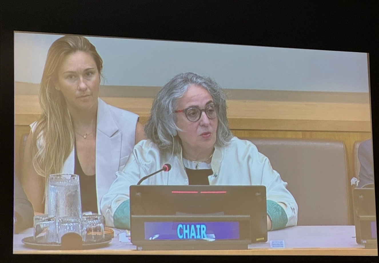 Chair CERD 2025