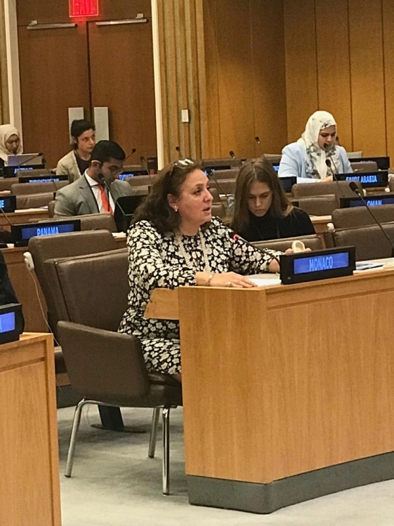 Troisième Commission - 73AGNU - Point 66: Rapport du Haut-Commissaire des Nations Unies pour les réfugiés, questions relatives aux réfugiés, aux ra...