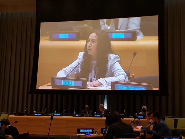 Monaco réaffirme son plein soutien au droit international humanitaire  afin de protéger les populations civiles dans les conflits armés