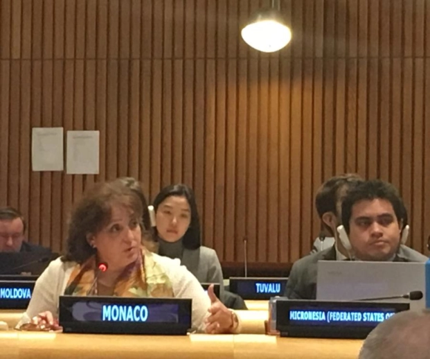 Monaco Takes Part in the Legal Affairs Committee