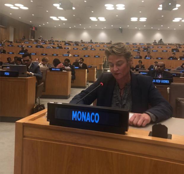 Monaco discusses children’s rights in Committee on Social, Humanitarian and Cultural Issues