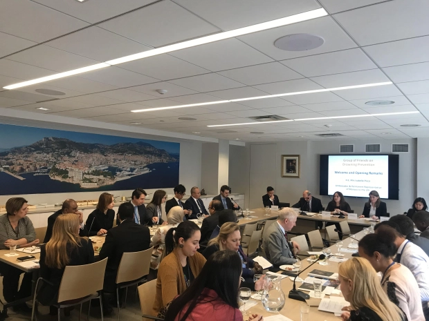 Meeting of the Group of Friends for Drowning Prevention