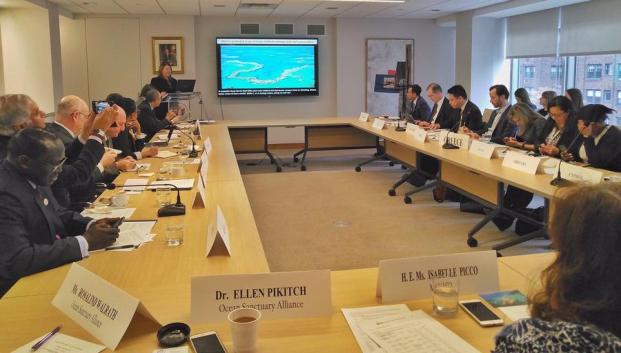 A Study on Marine Protected Areas is Presented to the Permanent Mission of Monaco to the United Nations