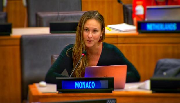 Monaco prend part au débat général de la Commission des Affaires sociales, culturelles et humanitaires